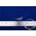 1/12 Aluminum Rivet Set B (50pcs)
