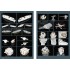 1/200 USS BB-39 Arizona Upgrade Pack for Trumpeter #03701