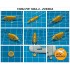 1/72 FW 190A4 Masking w/Wheels Masks for Zvezda kits