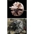 1/48 Junkers Ju88R-1, C-5; Ju188E-1, F-2 BMW801 Engines (Type 3) PAIR for Dragon kit
