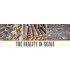 Southern Europe Village Debris and Rubble Vol.2 Scenic Details Colours Paint Set (22ml x3)