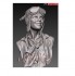 1/10 The Sky's No Limit - Amelia Earhart (resin bust)