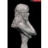 1/10 Avalynne Healer of The Forest Resin Bust Figure
