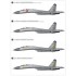 1/48 Sukhoi Su-27 Flanker B Heavy Fighter Service in China 30th Annversary