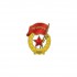 1/35 Soviet Guards Plate (50 x 40 mm)