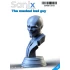 1/10 The Masked Bad Guy Bust