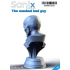 1/10 The Masked Bad Guy Bust