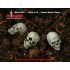 1/16 Human Skulls Set