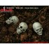 1/24 Human Skulls Set