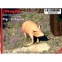 1/24 Pig