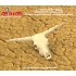 1/35 Longhorn Skulls (2pcs)