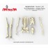 1/35 Human Skeleton Single Bones Set