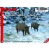 1/35 Wild Boars (Male + Female)
