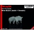 1/35 Wild Boars (Male + Female)