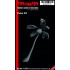 1/35 Beach Palm at An Angel (140mm Trunk Length)