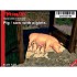 1/35 Pig with Piglets