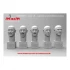 1/35 Bald Heads with 5 Different Emotions (5 Heads)