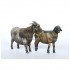 1/35 Animals Set #39