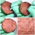 1/35 Animal Paw Print Stamps