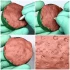 1/35 Animal Paw Print Stamps