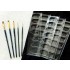 Paint Brush Set (3 Flat Brushes + 2 Point Brushes + 5 Paint Trays)
