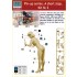 1/24 Pin-Up Series - "A Short Stop" kit No.2 (1 Female Figure)