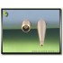 1/48 Supermarine Spitfire E Wing Early Barrels