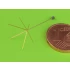 1/72 WWII German 1.8m Star Antenna for Command Tanks (1pc)