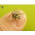 1/350 USN 40mm/56 Bofors Twin Mount Ver.1 with Mk-51 Director (6pcs)
