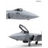 1/48 Chinese J-20 Stealth Fighter