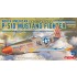 1/48 North American P-51D Mustang Fighter with Decals