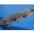 1/144 Ilyushin Il-76 Detail Set for Zvezda kits