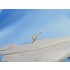 1/72 Mikoyan-Gurevich MiG-25 Wheel Bays