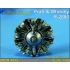 1/48 Pratt & Whitney R-2800 Double Wasp Radial Engine