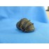 1/48 Lockheed Martin F-35B Jet Nozzle for Kitty Hawk kits
