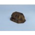 1/72 DRASH C-series Type 2C Shelter