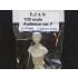 1/20 Audience Figure Ver.F
