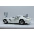 1/12 Ferrari 250GTO Ver.B - 1964 Sarthe 24hr Race #26 Hugus/Rosinski (Full Detail kit)