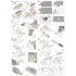 1/12 Full Multimedia kit - Eagle Gurney-Weslake Ver.B: Rd.5/6/7/9/10/11 1967