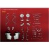 1/12 Full Detail kit - Tipo Ver.B: 159M 1951 Rd.7 Italian GP/Rd.8 Spanish GP