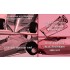 1/12 Ferrari 312T3 1978 Rd.4 US GP West [Long Beach GP] Winner #11 C.Reutemann
