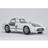 1/12 Mercedes-Benz 300SLR Coupe Multi-material kit