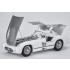 1/12 Mercedes-Benz 300SLR Coupe Multi-material kit