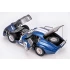 1/12 Cobra Coupe #CSX2601 1965 Daytona/Sebring/LM #CSX2286 1965 LM
