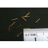 Meter Switch (50pcs)