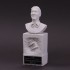 1/12 "Dive Nine" Figure F1 Champion Series - Driver Type G.F Bust