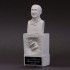 1/12 "Dive Nine" Figure F1 Champion Series - Driver Type A.A Bust 