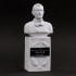 1/12 "Dive Nine" Figure F1 Champion Series - Driver Type P.H Bust 