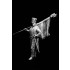 120mm French Line Infantry Eagle Bearer (1 figure)