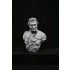 1/9 200mm V-bust Waterloo set - Napoleon, Wellington, Blucher (3 busts)